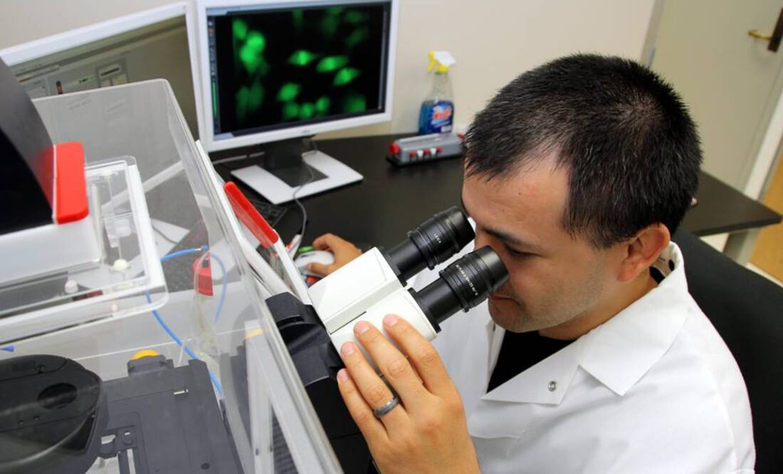 Una de las mayores -y más antiguas- aspiraciones de la oncología es saber por qué un tumor genera metástasis. Foto: Archivo