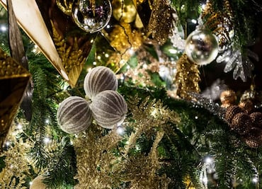 The pagan origin of Christmas trees