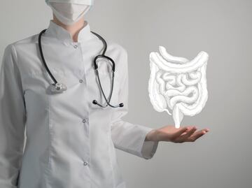 Tomar una infusión de cuachalalate y chupandilla podría aliviar tu colitis, asegura estudio del IPN y la UNAM