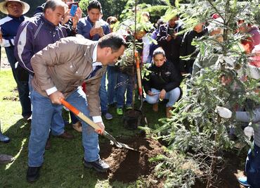 Empresa acuerda compensar tala en El Ocotal con 740 árboles
