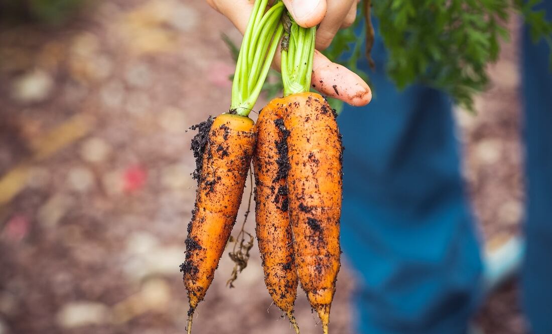 Foto: Markus Spiske / Pexels