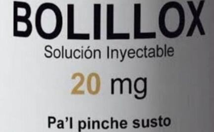 Pánico por microsismos, el oso de Pato Borghetti y la cancelación de Enrique Iglesias en los memes de la semana