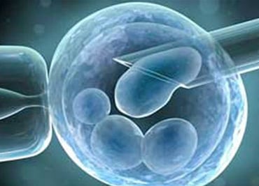 Investigadores de EU logran modificar genéticamente embriones humanos