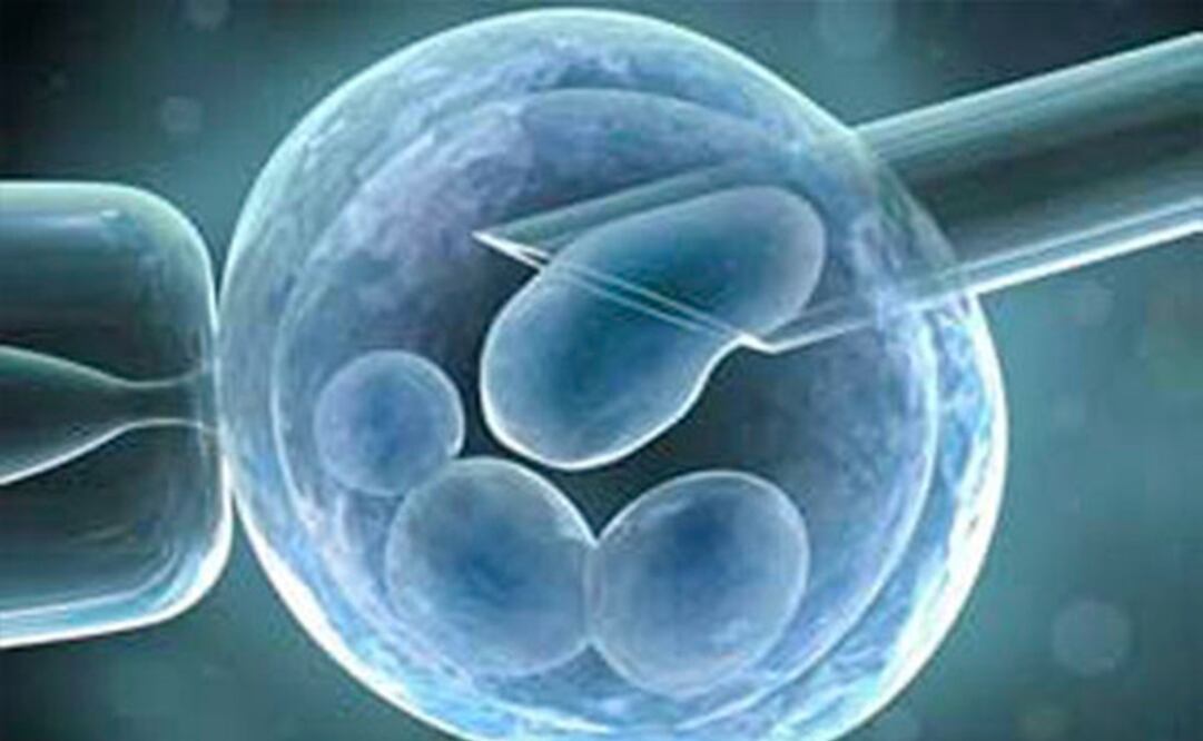 Imagen referencial (FOTO: Archivo/ EL UNIVERSAL)