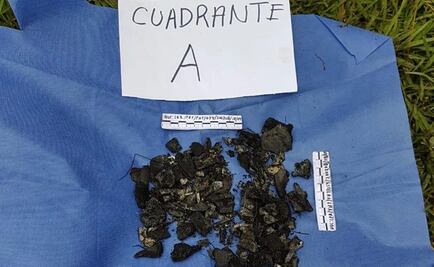 Hallan restos óseos en zona montañosa de Texcaltitlan, Edomex