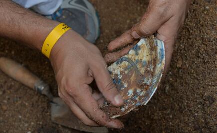 INAH recupera porcelana china con más de 400 años