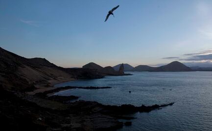 Cambios en el océano casi mataron la vida basada en oxígeno