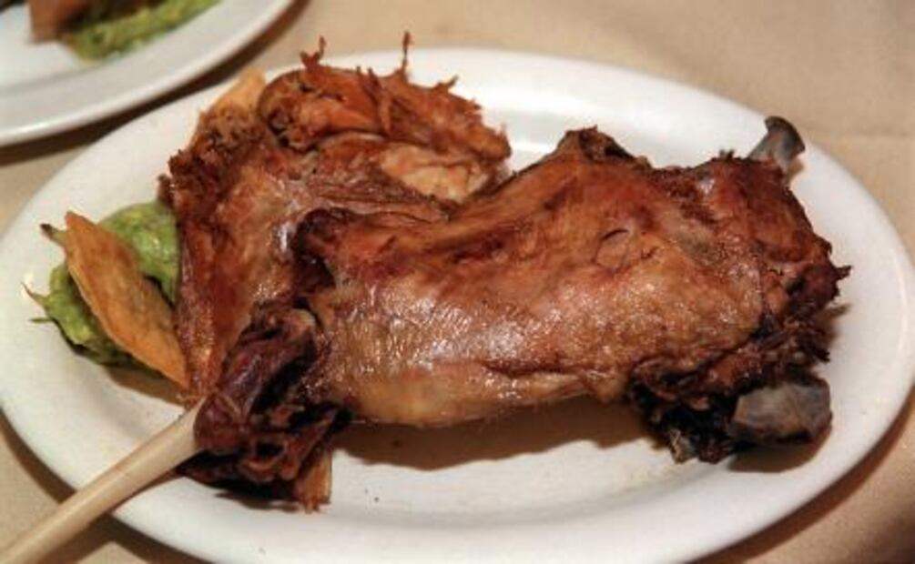 Los platillos más exóticos de México