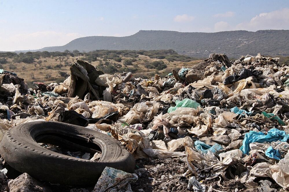 Foto: Archivo/El Universal