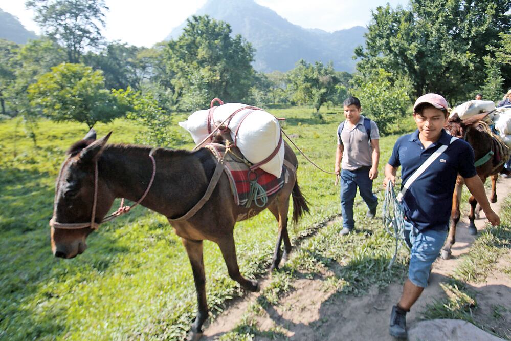 Los integrantes del almacén rural Los Ideales, perteneciente a Diconsa, transportan alrededor de 100 toneladas de alimentos en sus lanchas. Bajo el lema “llegar hasta donde nadie más puede”, aprovisionan a 11 municipios de Oaxaca (JUAN CARLOS REYES)
