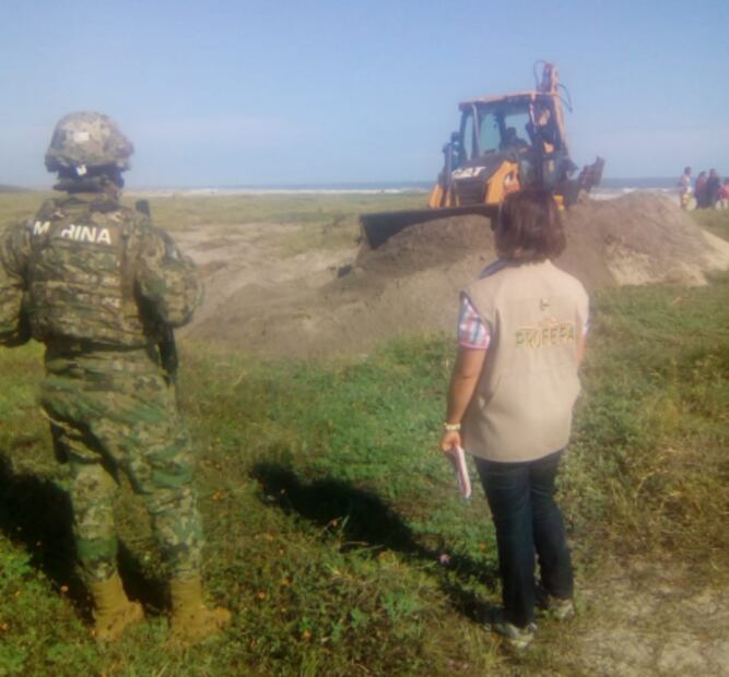 Confirman muerte de 300 tortugas por red de pesca prohibida