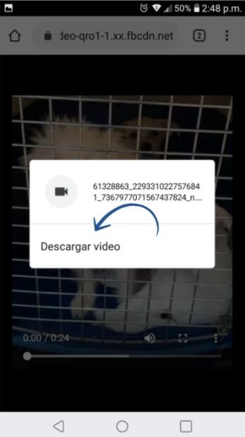 Paso a paso, así puedes descargar un video de Facebook