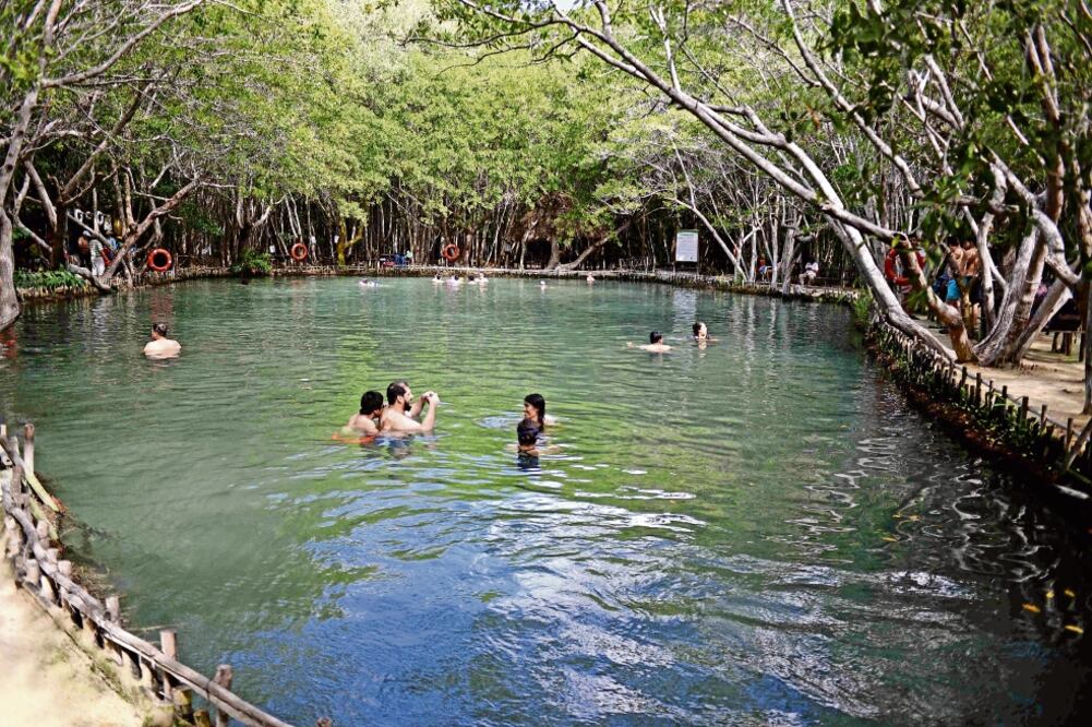 El Corchito es una reserva ecológica protegida que recibe tanto a turistas mexicanos como extranjeros, quienes se maravillan con la naturaleza de los manglares y la fauna.  (CUAUHTÉMOC MORENO. EL UNIVERSAL)