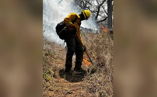 Incendio forestal consume más de mil 500 hectáreas en Sonora; despliegan helicóptero militar