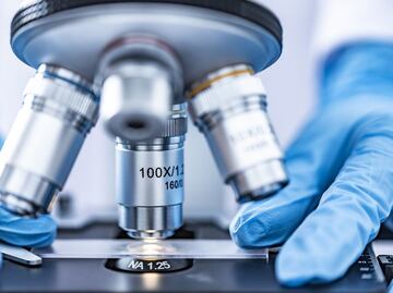 El superalimento eficaz en la lucha contra el cáncer, según médicos