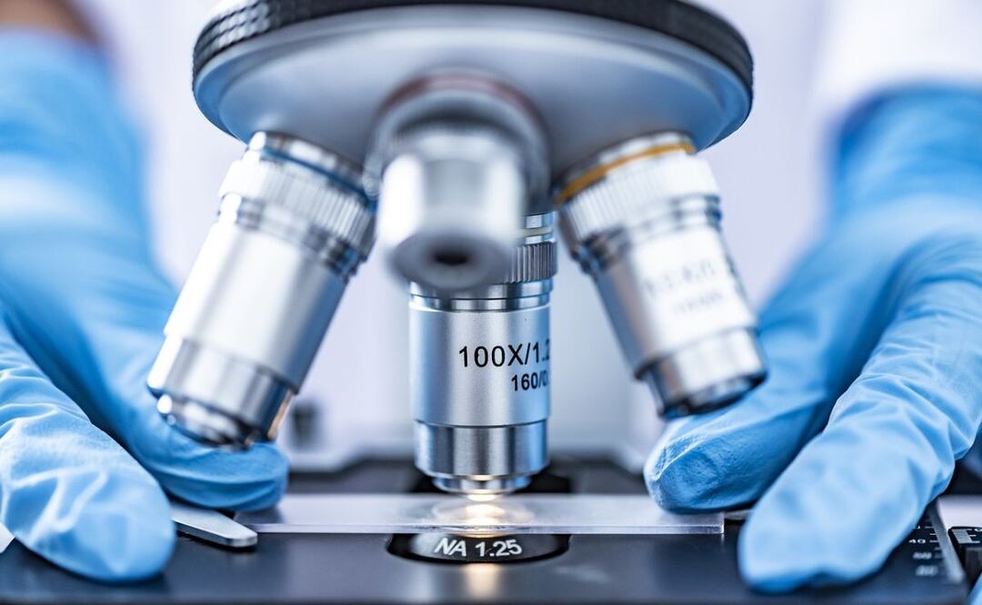 Ajo contra el cáncer. Fuente: Pixabay