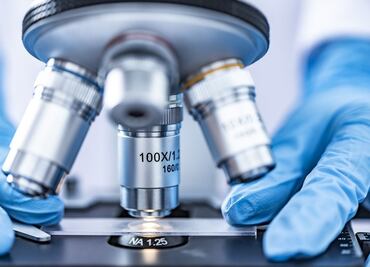 El superalimento eficaz en la lucha contra el cáncer, según médicos