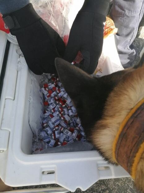 Pásele por su prueba patito de Covid, marchante