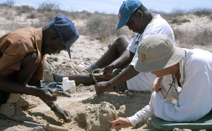 Descubren huesos de hace 120 mil años con los que se confeccionaba ropa