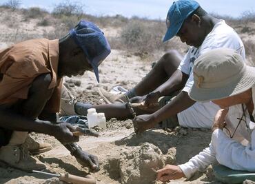 Descubren huesos de hace 120 mil años con los que se confeccionaba ropa