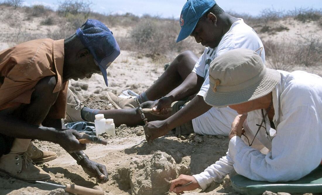 Imagen ilustrativa. Foto: EFE, archivo