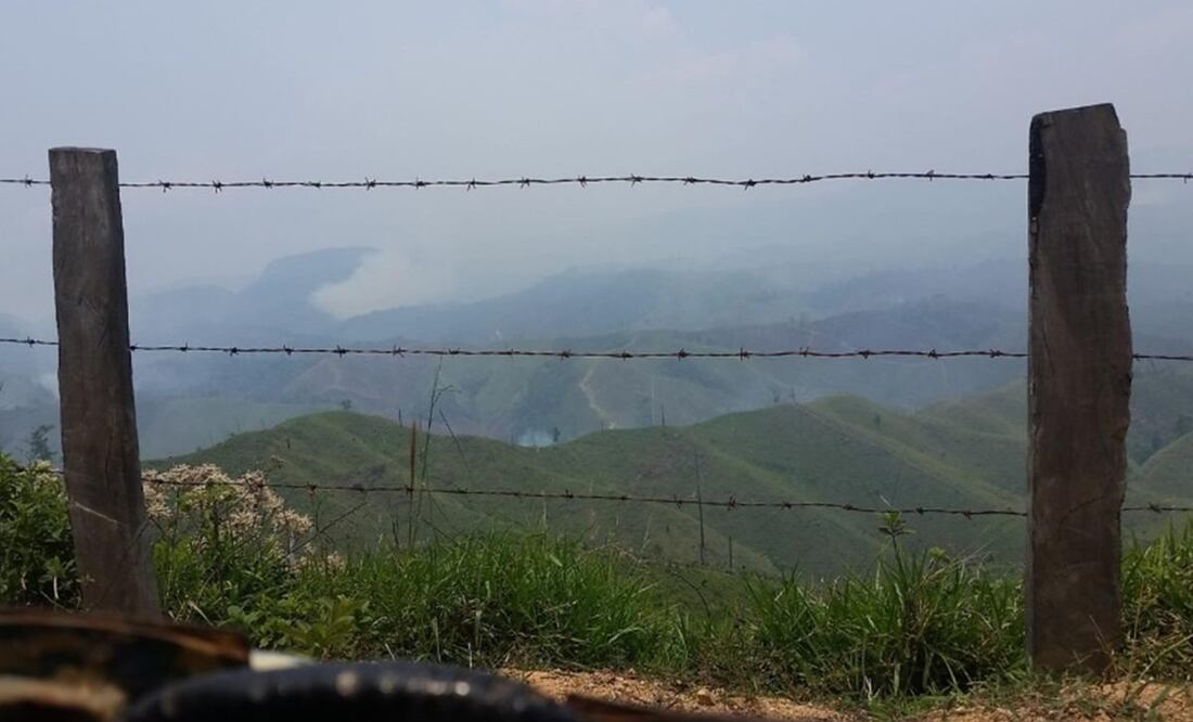 Foto: Cortesía del Comité Nacional para la Defensa y Conservación de Los Chimalapas