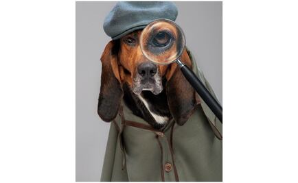 Buscadores de mascotas llega a National Geographic