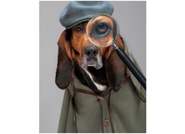 Buscadores de mascotas llega a National Geographic