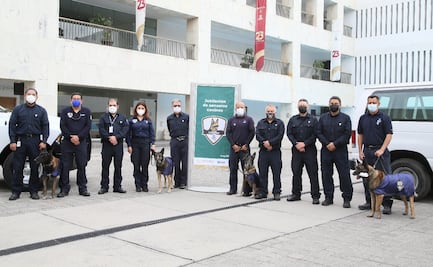 Jubilan a cinco caninos que sirvieron en aduanas durante 9 años