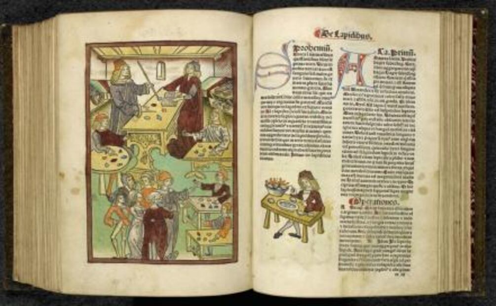 Abren exposición de “Harry Potter y la Piedra Filosofal”