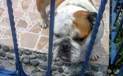 Prefiero cuidar al hombre que a los animales, dice Víctor Hermosillo