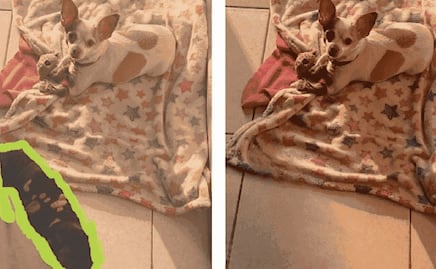 ¿Cómo eliminar objetos de una foto con IA?