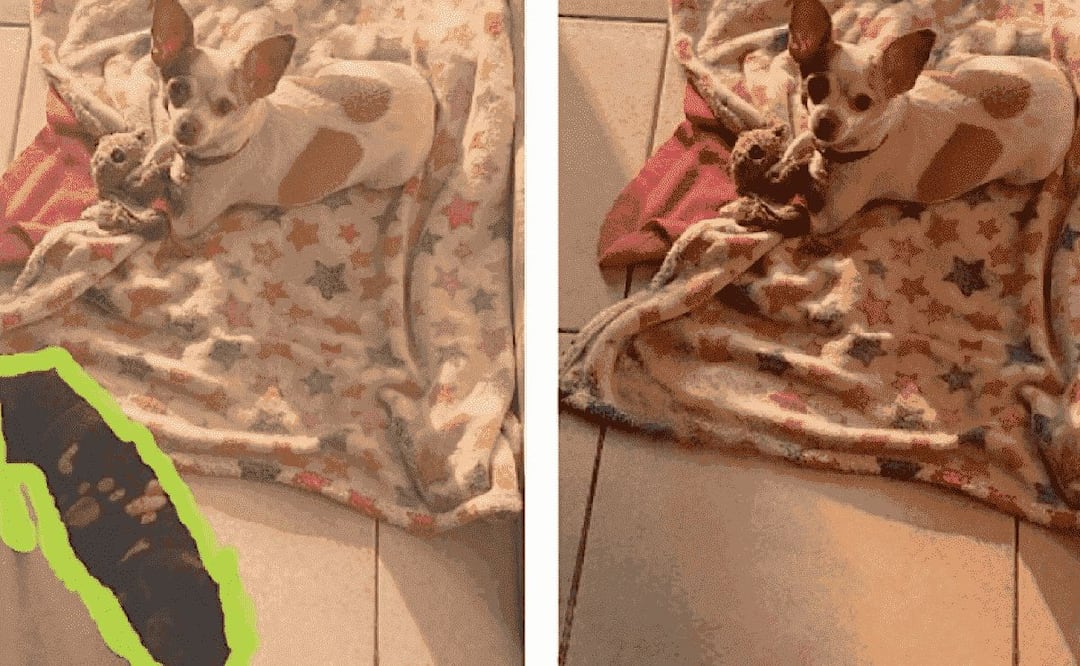 Foto: Cleanup.pictures