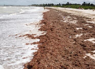 Pese al Covid y al frío, yucatecos abarrotan playas de puerto Progreso