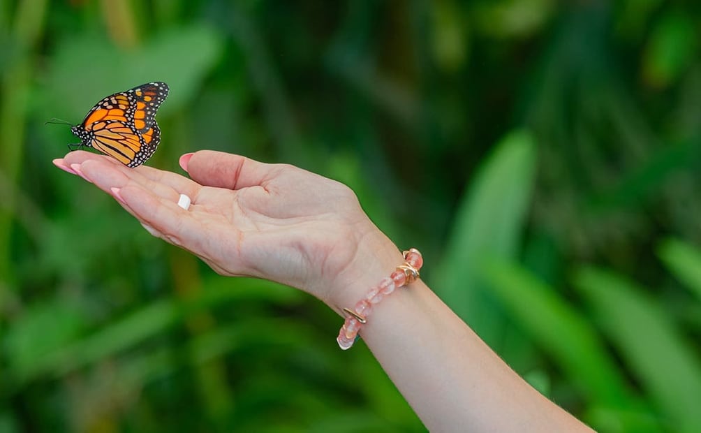 La agenda de la COP17 sobre sustentabilidad no es aspiracioncita. Foto: iStock