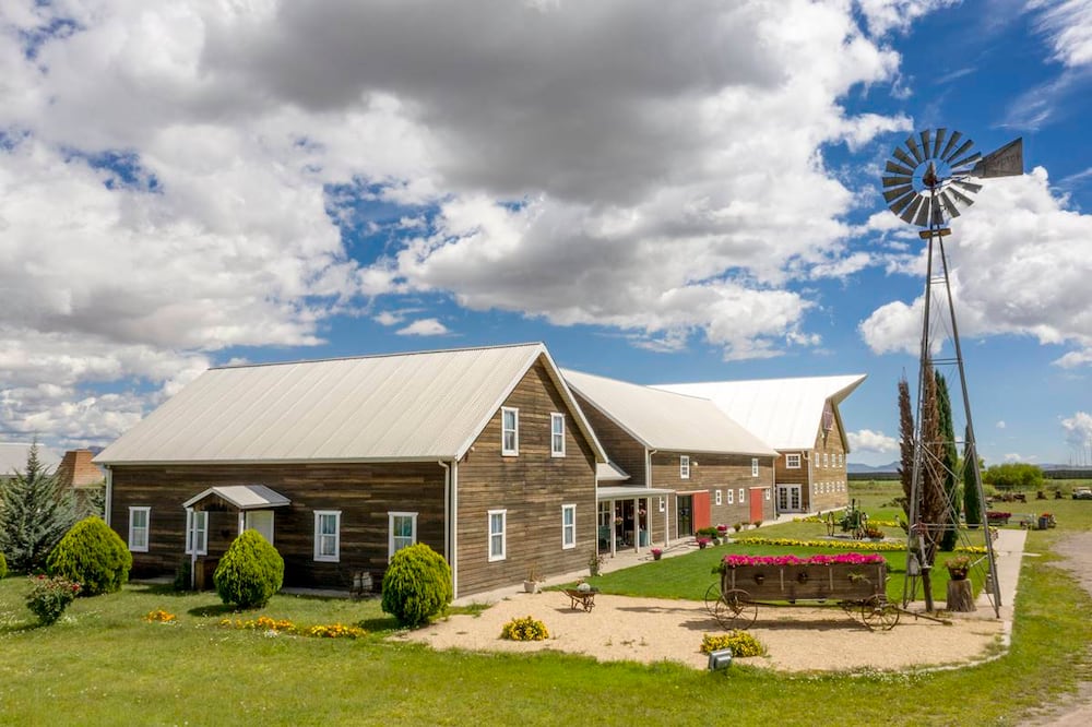 Foto: Cortesía Fidetur ¡Ah Chihuahua!