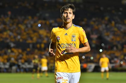 El Guadalajara y el Cruz Azul se pelean a jugador de los Tigres