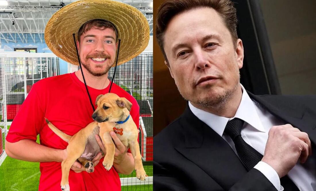 Mr Beast y Elon Musk. Foto: Especial