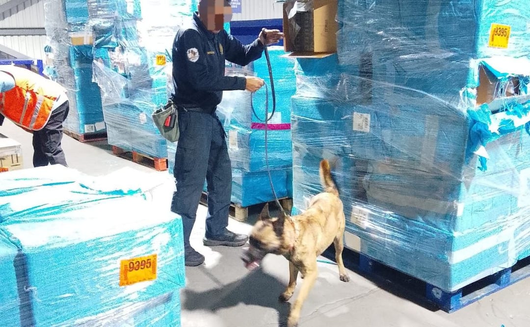 Semar asegura cigarros de procedencia ilícita en Aduana del AICM. Marzo 2026. Imagen: Especial.