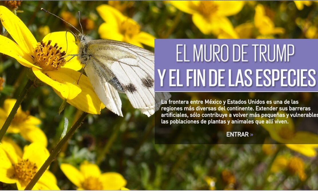 El muro de Trump y el fin de las especies