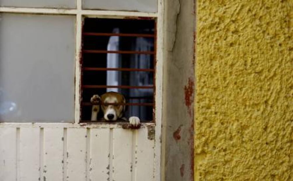 Reflexionan, desde la filosofía, sobre el 19-S