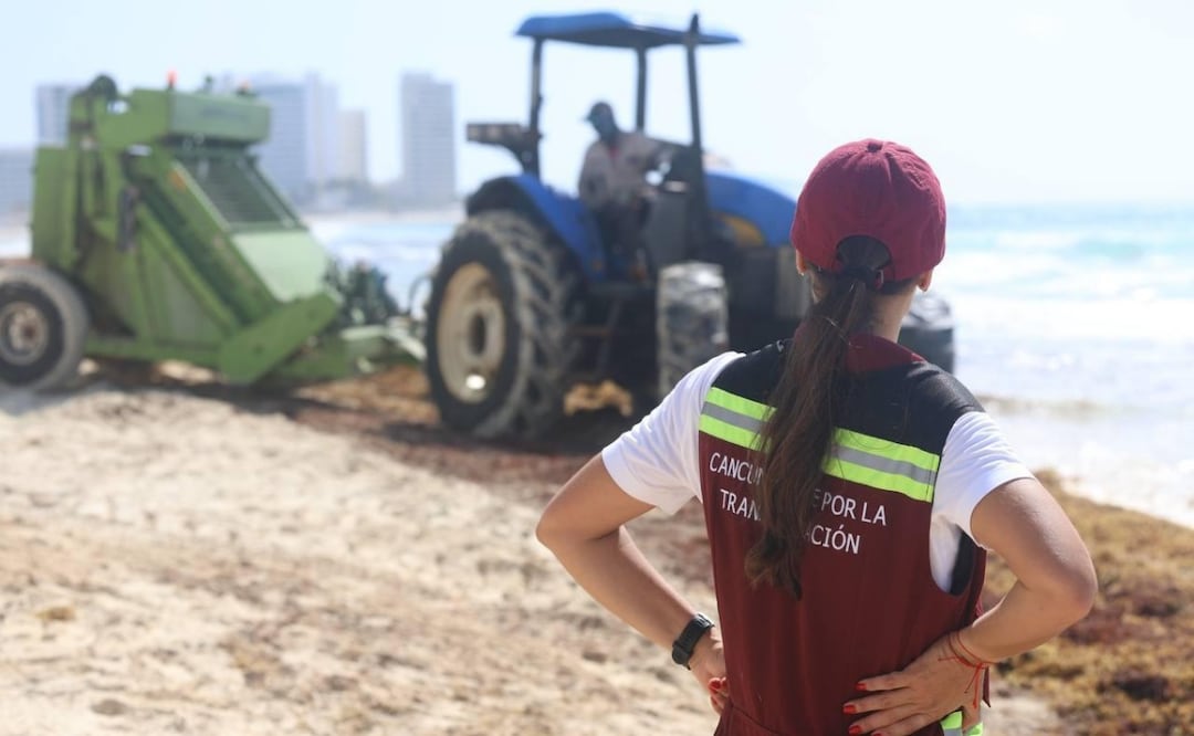 Cancún combate el sargazo con estrategia; destaca frente a otros destinos del Caribe. Foto: Especial