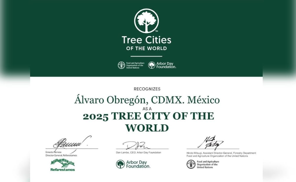 El programa Tree Cities of the World es promovido por Reforestemos México, Arbor Day Foundation y la Organización de las Naciones Unidas para la Alimentación y la Agricultura (FAO), organismos que impulsan una red global de ciudades enfocadas en la gestión ambiental responsable. | Foto: Especial.