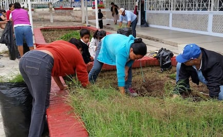 Continúan tareas de limpieza en primarias de Oaxaca