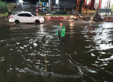 Fuertes lluvias en la CDMX provocan la caída de un árbol y encharcamientos en diversas zonas
