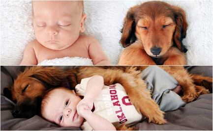 ¿Cuáles son los beneficios de tener perros para los niños?; esto dicen algunos estudios 