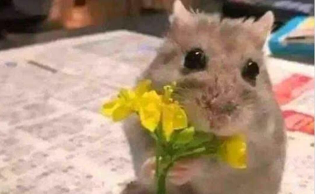 Captura vía Twitter.