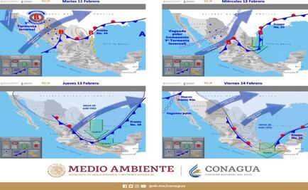 Alertan por heladas al norte del país; llegará a -10 grados en tres estados 