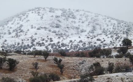 Temperaturas bajo cero se mantienen en Sonora