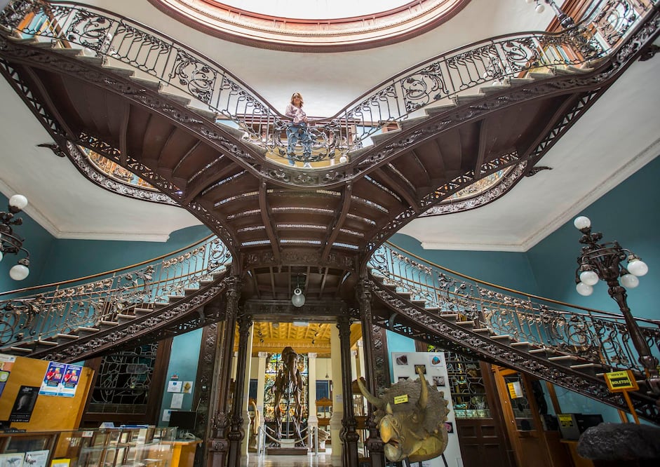 El Museo de Geología exhibe réplicas y fósiles de esqueletos de dinosaurios. (Foto: Sergio Tapia / El Universal)